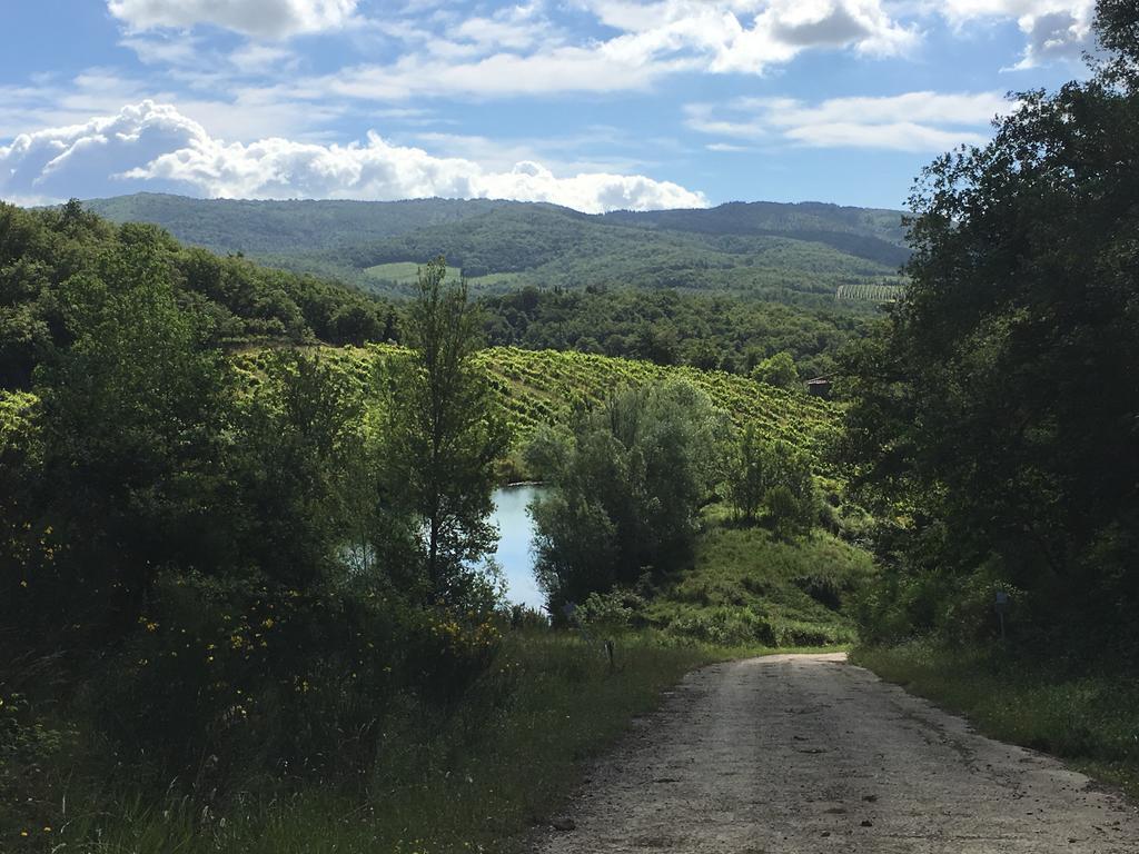 Podere Terreno Alla Via Della Volpaia Radda in Chianti Exterior foto