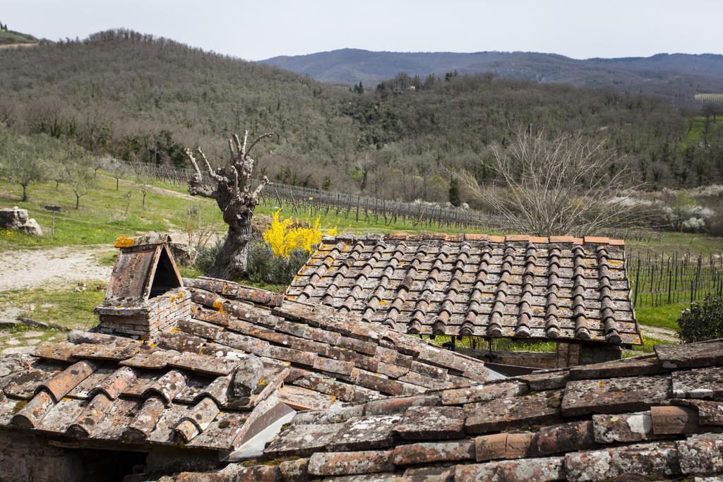 Podere Terreno Alla Via Della Volpaia Radda in Chianti Exterior foto